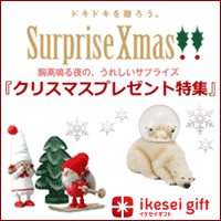 bnr_101129_ikesei.gif